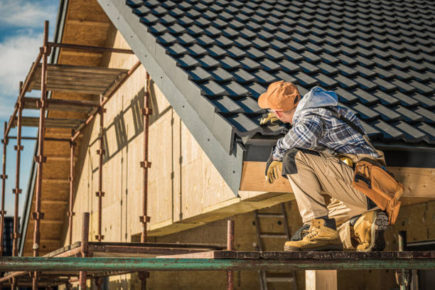 Best Roof Maintenance and Cleaning  in Tazewell, TN