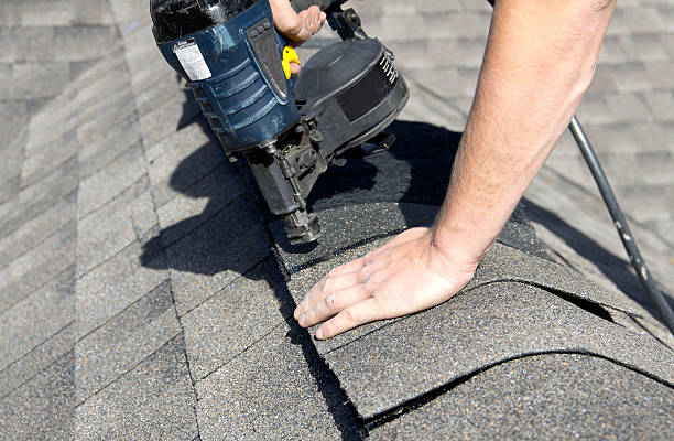 Best Skylight Installation and Repair  in Tazewell, TN