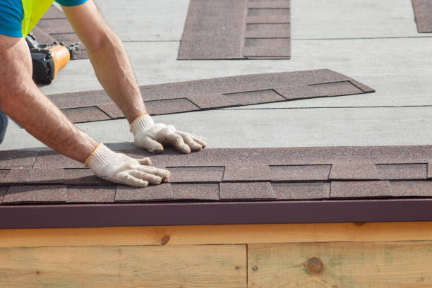 Best Solar Panel Roofing Installation  in Tazewell, TN